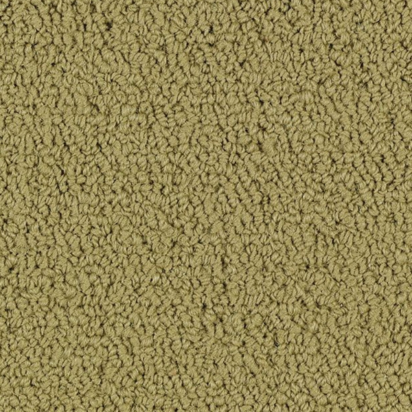 Picture of Philadelphia Commercial by Shaw - SP918 Herbal