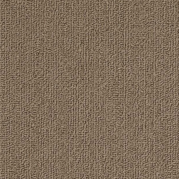 Picture of Philadelphia Commercial by Shaw - SP918 Portabella