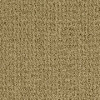 Picture of Philadelphia Commercial by Shaw - SP918 Aloe