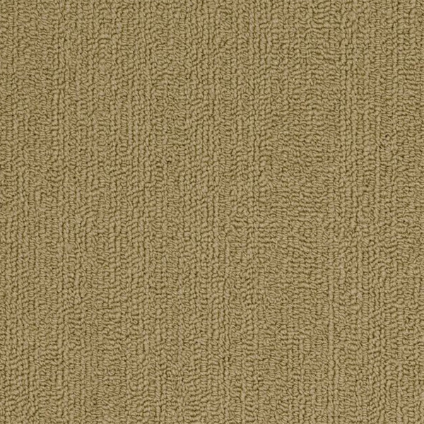 Picture of Philadelphia Commercial by Shaw - SP918 Aloe