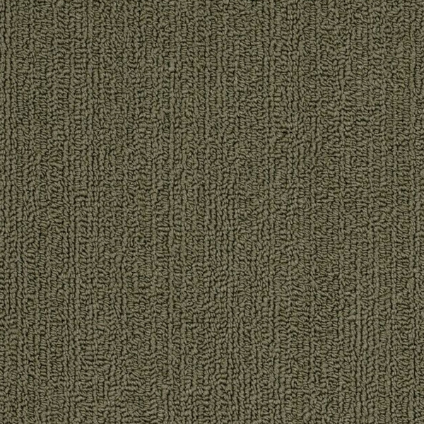 Picture of Philadelphia Commercial by Shaw - SP918 Ivy