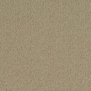 Picture of Philadelphia Commercial by Shaw - SP918 Lichen