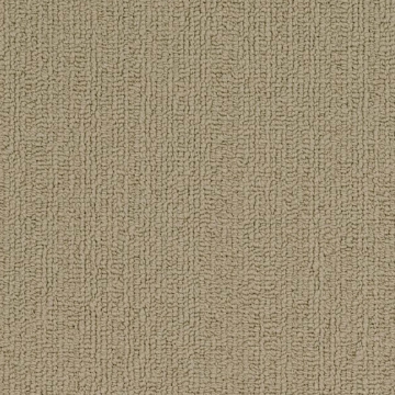 Picture of Philadelphia Commercial by Shaw - SP918 Lichen