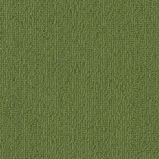 Picture of Philadelphia Commercial by Shaw - SP918 Green