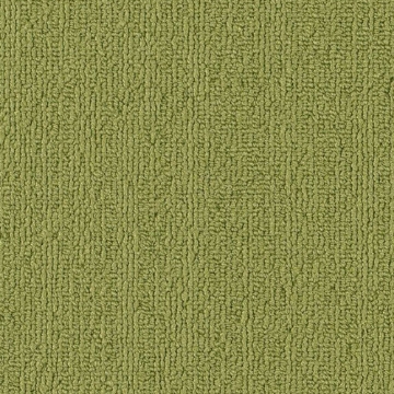 Picture of Philadelphia Commercial by Shaw - SP918 Brite Green