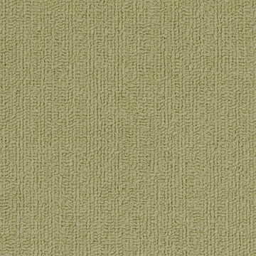 Picture of Philadelphia Commercial by Shaw - SP918 Fescue