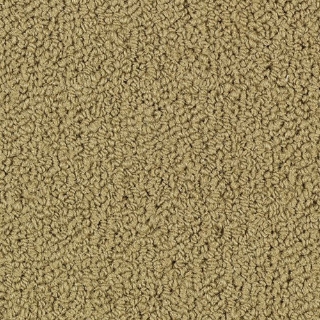 Picture of Philadelphia Commercial by Shaw - SP918 Pecan