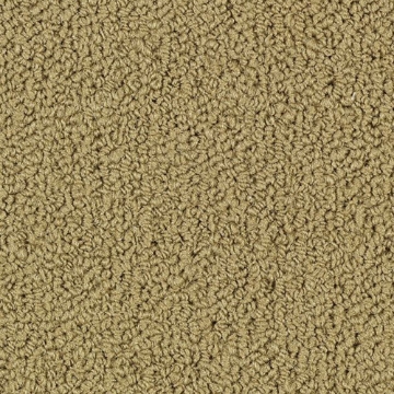 Picture of Philadelphia Commercial by Shaw - SP918 Pecan