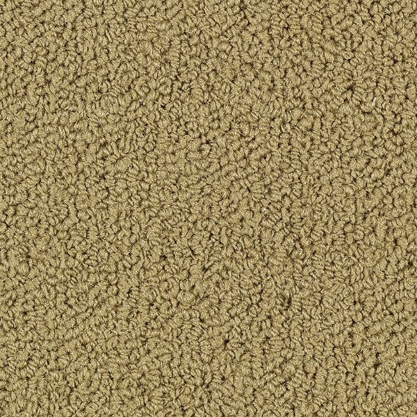 Picture of Philadelphia Commercial by Shaw - SP918 Pecan