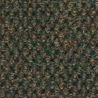 Picture of Philadelphia Commercial by Shaw - SP936 Crushed Olive