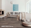 Picture of Chesapeake Flooring - Liberty Plus Chimney