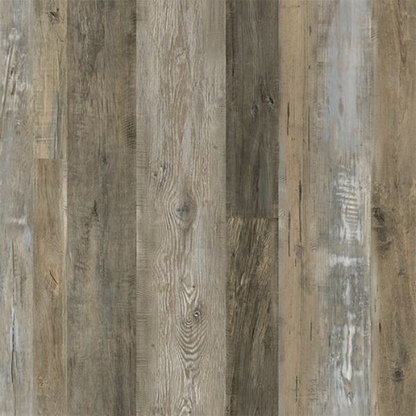 Picture of Bella Flooring Group - Kingston Clinch