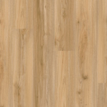 Picture of EarthWerks - Chassis Advantage Plus Backbone