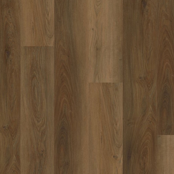 Picture of EarthWerks - Chassis Advantage Plus Spitfire