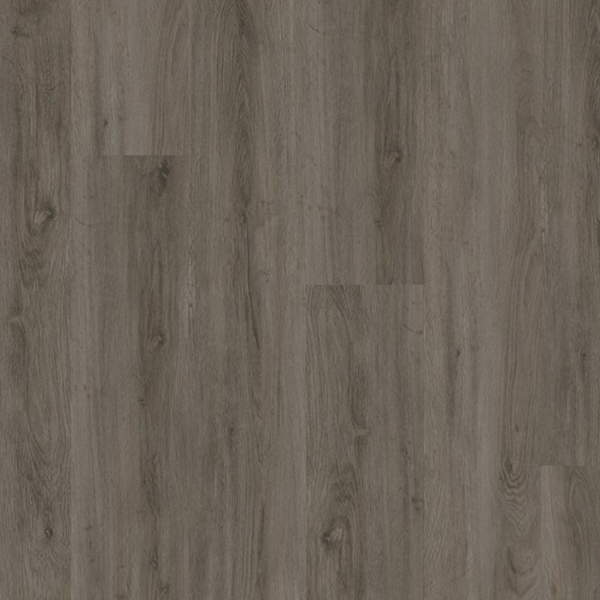 Picture of EarthWerks - Chassis Advantage Plus Motorcoach