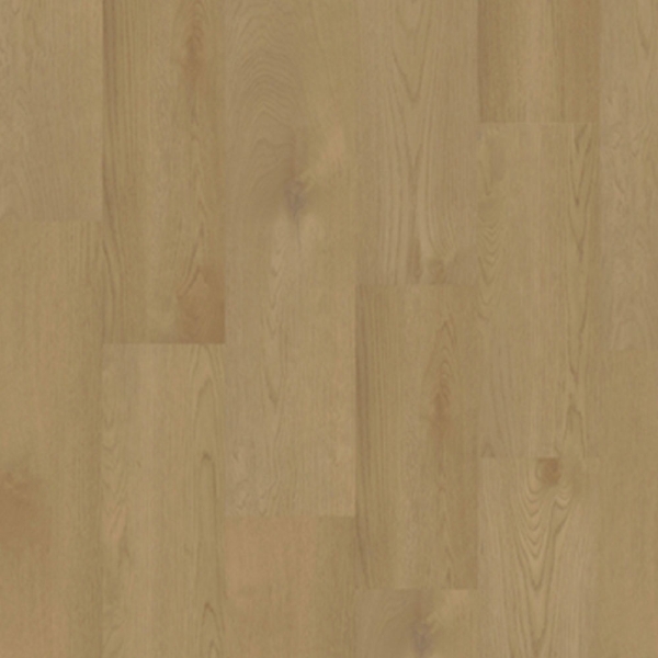 Picture of EarthWerks - Regatta Plus XL Sail