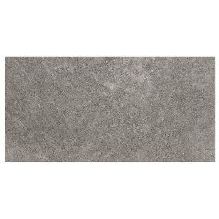 Picture of SOHO Studio Corp - Ages 12 x 24 Fossil