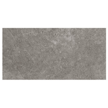 Picture of SOHO Studio Corp - Ages 12 x 24 Fossil