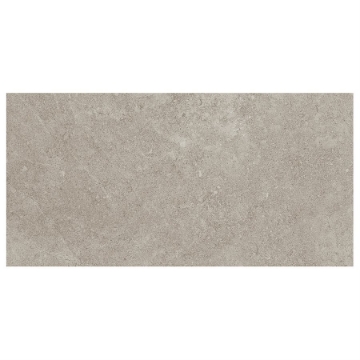 Picture of SOHO Studio Corp - Ages 12 x 24 Tortora