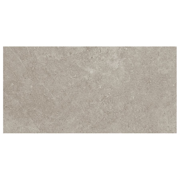 Picture of SOHO Studio Corp - Ages 12 x 24 Tortora