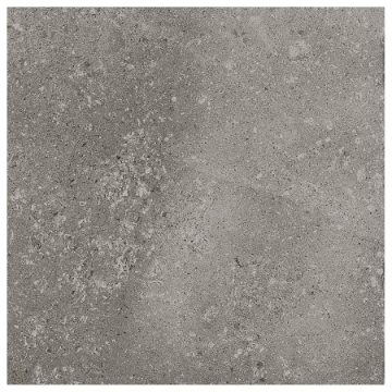 Picture of SOHO Studio Corp - Ages 24 x 24 Fossil