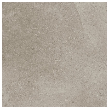 Picture of SOHO Studio Corp - Ages 24 x 24 Tortora