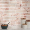 Picture of SOHO Studio Corp - New Palm Beach by Krista Watterworth Brick Pink