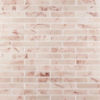 Picture of SOHO Studio Corp - New Palm Beach by Krista Watterworth Brick Pink