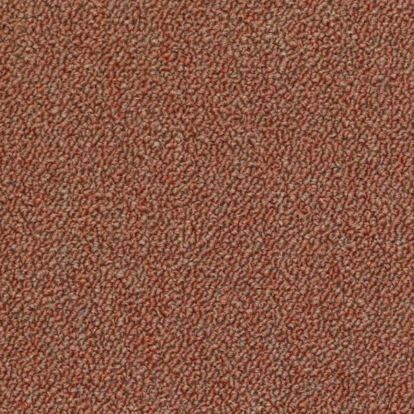 Picture of Philadelphia Commercial by Shaw - SP714 Accomplice