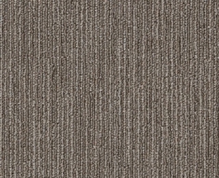 Picture of Philadelphia Commercial by Shaw - SP736 Kinetic