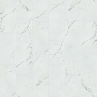 Picture of Shaw Floors - Range 12 x 24 Polished Statuario