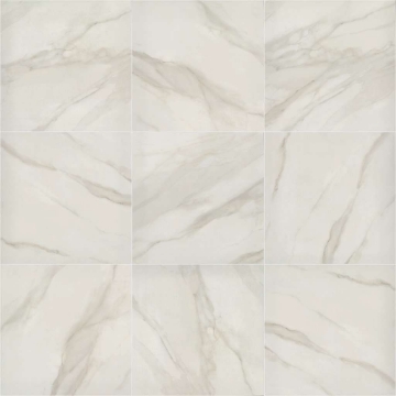 Picture of Shaw Builder - Tranquility 24 x 24 Matte Bianco Covelano
