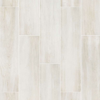 Picture of Shaw Floors - Valentino Action