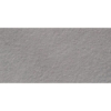 Picture of Milestone - Urban Living 12 x 24 Raw Mist Grey