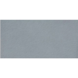 Picture of Milestone - Urban Living 24 x 48 Raw Coastal