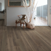 Picture of Mohawk - RevWood Premier Palm City Balboa Oak