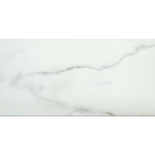 Picture of Emser Tile - Visconde Silver Polished