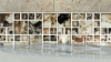 Picture of Anthology Tile - Splash Mixed Mosaic Island Dunes