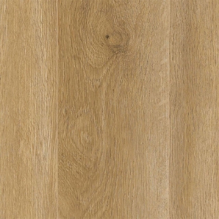 Picture of Aladdin Commercial - Long Bien 4.5 Carlsbad