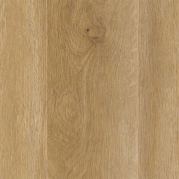 Picture of Aladdin Commercial - Long Bien 4.5 Carlsbad