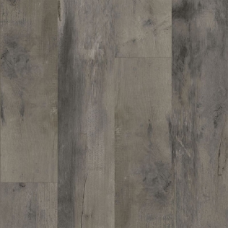 Picture of Aladdin Commercial - Reconnected Shadow