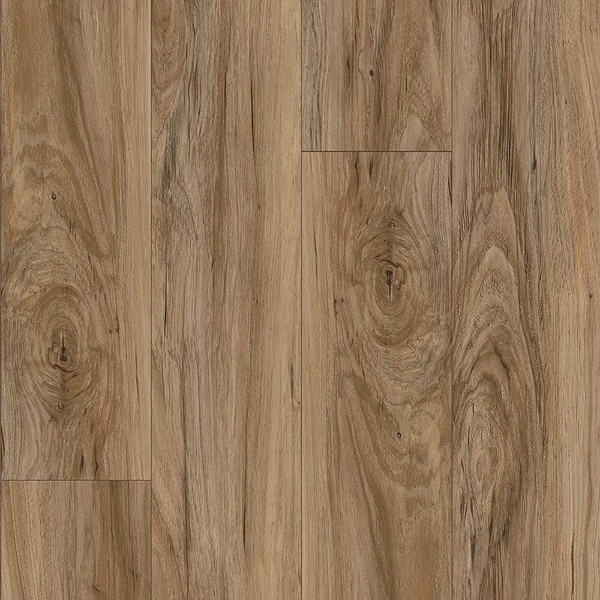 Picture of Aladdin Commercial - Reconnected Tawny