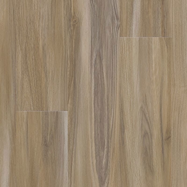 Picture of Aladdin Commercial - Thung Street Sandy Valley