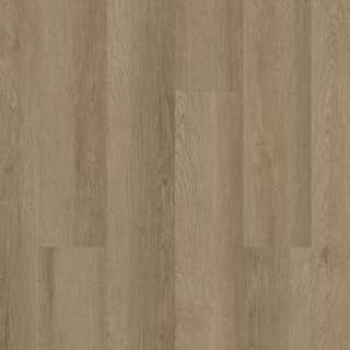 Picture of 5th and Main - Alba Reserve 12 Ohlone Oak