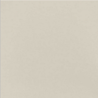 Picture of Daltile - Median 24 x 24 Beige Polished