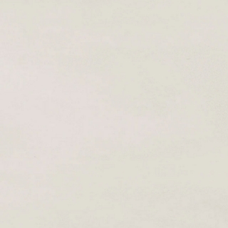 Picture of Daltile - Synchronic 24 x 24 White