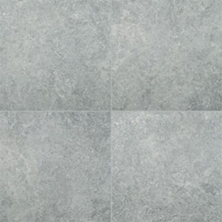 Picture of MS International - Arterra 24 x 48 Porcelain Pavers Legions Lunar Silver