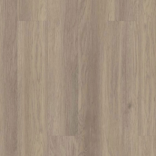 Picture of 5th and Main - Alba Reserve 8 Willow Oak