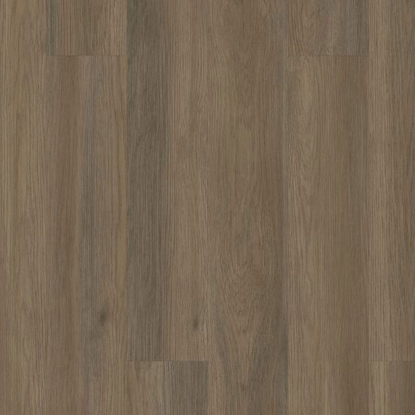 Picture of 5th and Main - Alba Reserve 12 Native Pecan