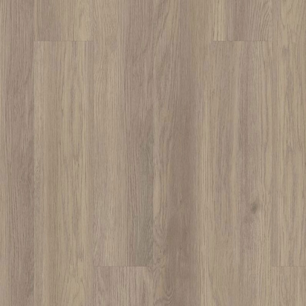 Picture of 5th and Main - Alba Reserve SPC 3.5 Willow Oak